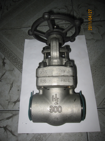300lbs 1 1/2 in 904L forged gate valves