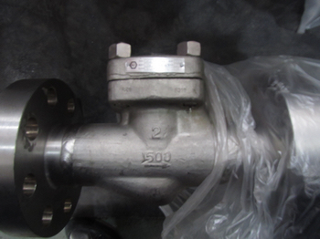 1500lbs RF 2in F316 Cryogenic lift type check valves