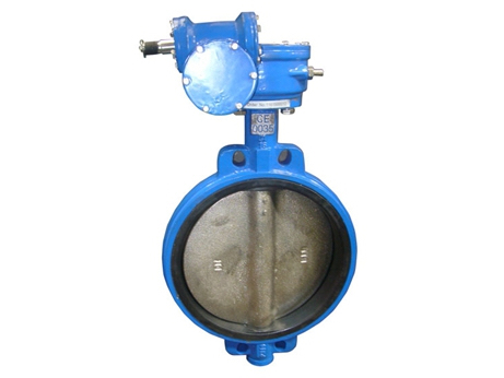 Wafer Extended bonnet butterfly valve with pin