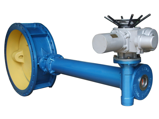 Double offset double flanged butterfly valves with extended stem