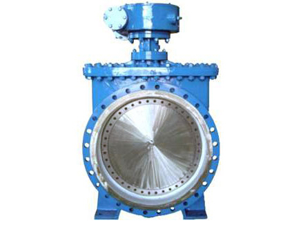 top entry butterfly valves