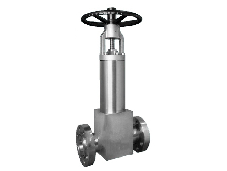 Pressure seal bellows seal globe valves 
