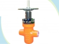 Válvulas de compuerta de losa de yacimiento agua inyección alta presión