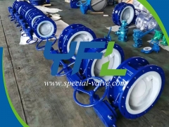 Flanged PFA Lined butterfly valve