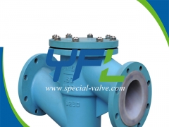 PFA Lined Lift Type Check Valve by YFL