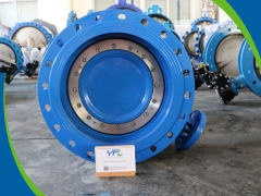 Double offset soft seal butterfly valves